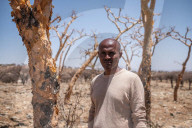 How the west's wellness industry is driving Ethiopia's frankincense trees towards extinction