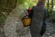 Ribes de Fresser_Barcelona_Record mushroom season in Catalonia