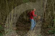 Ribes de Fresser_Barcelona_Record mushroom season in Catalonia