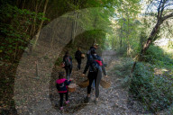 Ribes de Fresser_Barcelona_Record mushroom season in Catalonia