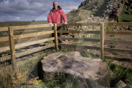 Sycamore Gap tree exhibition opens to mark a year since its felling