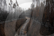 ‘Absolute chaos’: counting the cost of a deadly wildfire in northern Portugal