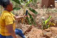 High tech, high yields? The Kenyan farmers deploying AI to increase productivity