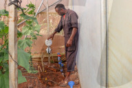 High tech, high yields? The Kenyan farmers deploying AI to increase productivity