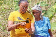 High tech, high yields? The Kenyan farmers deploying AI to increase productivity