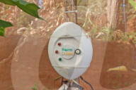 High tech, high yields? The Kenyan farmers deploying AI to increase productivity