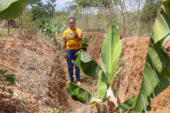 High tech, high yields? The Kenyan farmers deploying AI to increase productivity