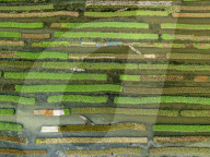 FEATURE - SN_FLOATING_VEG_GARDEN_01