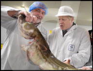 Boris Johnson pens book