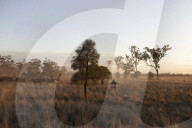 'I lost my phone in the first week': a new generation of drovers in outback Queensland