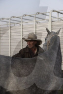 'I lost my phone in the first week': a new generation of drovers in outback Queensland