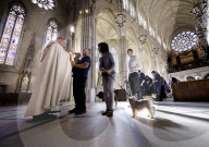 Arundel Animal Blessing Service in Arundel, UK.