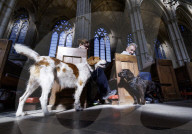 Arundel Animal Blessing Service in Arundel, UK.