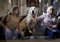 Arundel Animal Blessing Service in Arundel, UK.