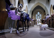 Selsey Animal Blessing Service in Selsey, UK.