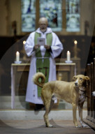 Selsey Animal Blessing Service in Selsey, UK.