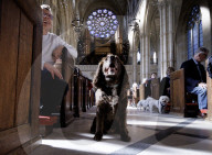 Arundel Animal Blessing Service in Arundel, UK.