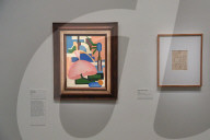 Vernissage de l'exposition "Tarsila do Amaral. Peindre le Brésil moderne" au musée du Luxembourg à Paris