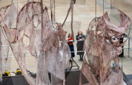 Hyundai Commission: Mire Lee at Tate Modern, London, UK 