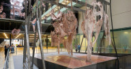 Hyundai Commission: Mire Lee at Tate Modern, London, UK 