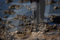 'We empower ourselves': the women cleaning up Bolivia’s Lake Uru Uru