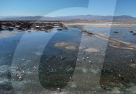 'We empower ourselves': the women cleaning up Bolivia’s Lake Uru Uru