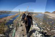 'We empower ourselves': the women cleaning up Bolivia’s Lake Uru Uru