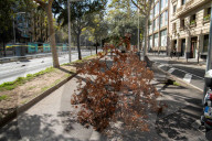 Barcelona, Kirk arrives in Spain with strong winds.