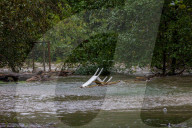 Milano - Il Fiume Lambro