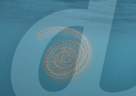 FEATURE - SN_BRITISH_JELLIES_01
