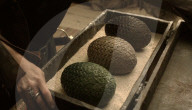 Game of Thrones auction