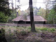 NEWS -  Sachsenwald: Waldhütte als Steueroase der Familie von Bismarck