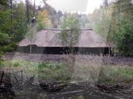 NEWS -  Sachsenwald: Waldhütte als Steueroase der Familie von Bismarck