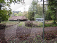 NEWS -  Sachsenwald: Waldhütte als Steueroase der Familie von Bismarck