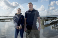 Oysters are back on British menu - but will red tape stifle the shellfish boom? Maldon Oysters.