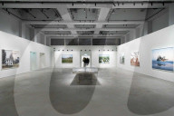 Anteprima stampa della mostra Mitch Epstein. American Nature presso le Gallerie d'Italia a Torino