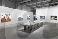 Anteprima stampa della mostra Mitch Epstein. American Nature presso le Gallerie d'Italia a Torino