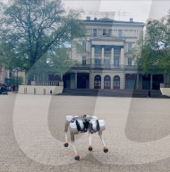Quadruped robot that  can work underwater