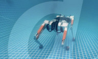 Quadruped robot that  can work underwater