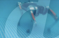 Quadruped robot that  can work underwater