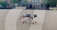 Quadruped robot that  can work underwater