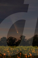FEATURE - SN_COMET_OVER_FIELDS_02