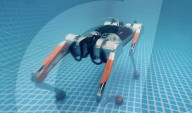 Un robot chien capable d'évoluer sous l'eau