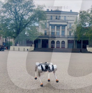 Un robot chien capable d'évoluer sous l'eau