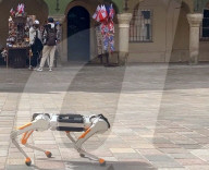 Un robot chien capable d'évoluer sous l'eau