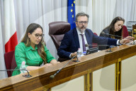 Roma, Commissione Parlamentare d&#x2019;inchiesta sulla scomparsa Manuela Orlandi, Mirella Gregori