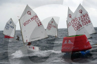 2024 Optimist European team racing championship