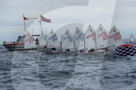 2024 Optimist European team racing championship