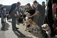 Prince William in Cornwall