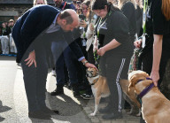 Prince William in Cornwall